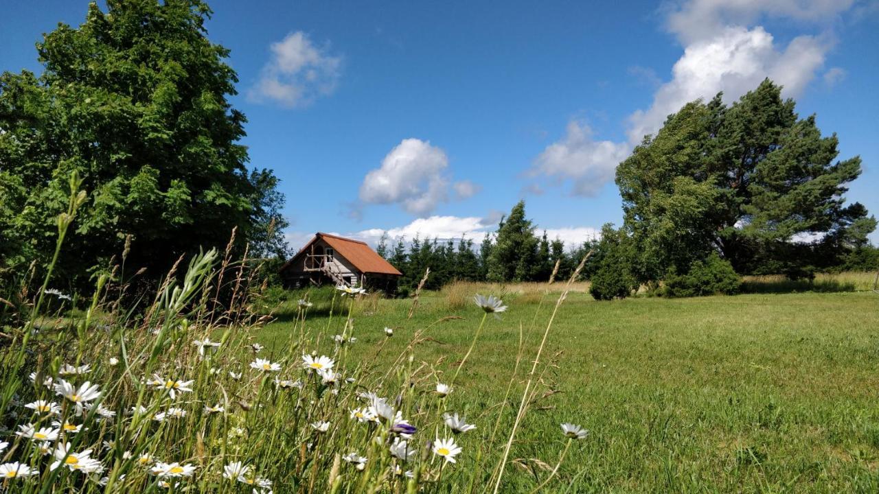 Hotel Suurekivi Kuelalistemaja Reigi Esterno foto