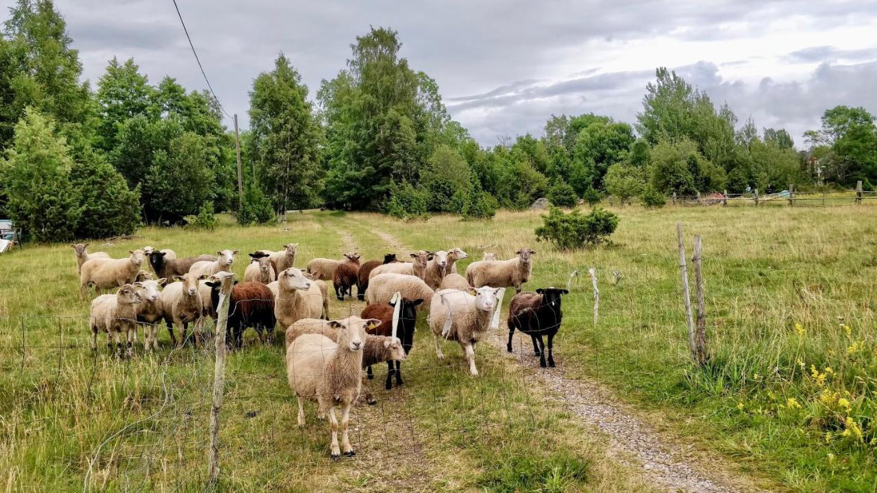 Hotel Suurekivi Kuelalistemaja Reigi Esterno foto